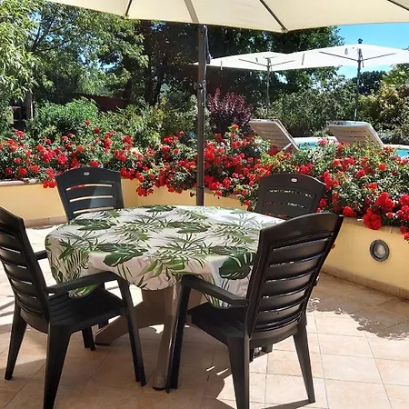 Le Poulailler De La Chayrie *